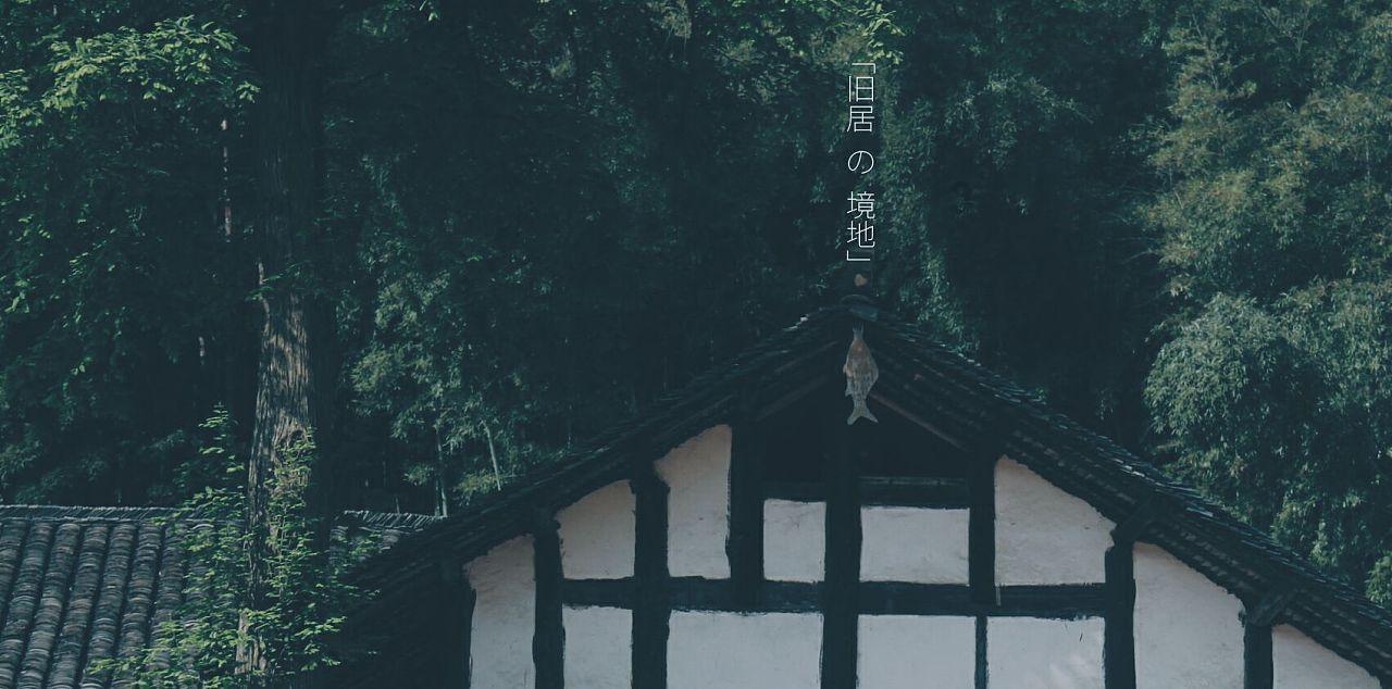 动物记忆大翻牌