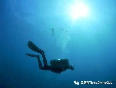 组装机械警暴龙2