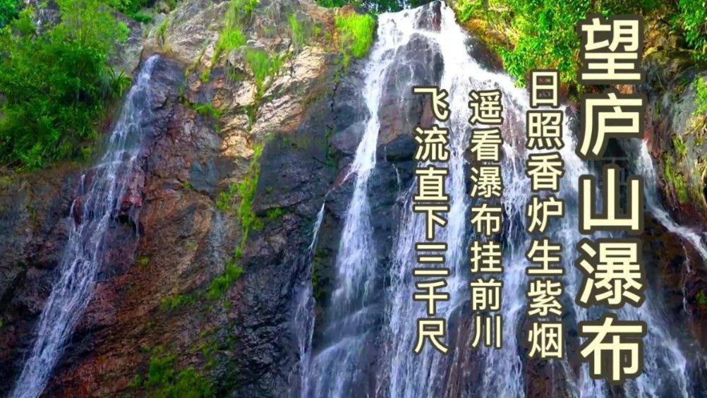 吃金币的猫