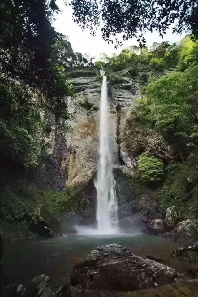 辛芷蕾明明出道很多年了，为什么她到三十多岁了才火起来？游戏画面